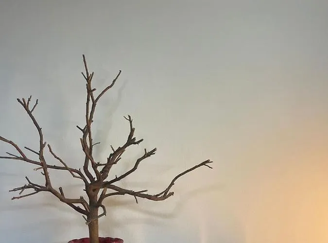 Prickly Pear Corner Appartement *