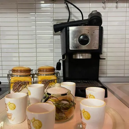 Prickly Pear Corner * Tirana