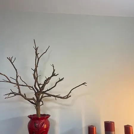 Prickly Pear Corner Appartement *